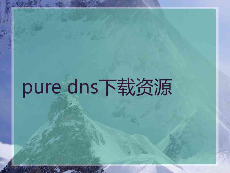 pure dns下载资源