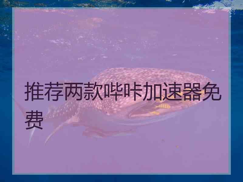 推荐两款哔咔加速器免费