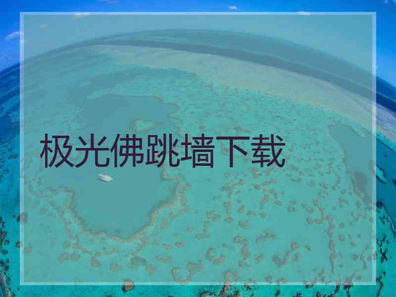 极光佛跳墙下载