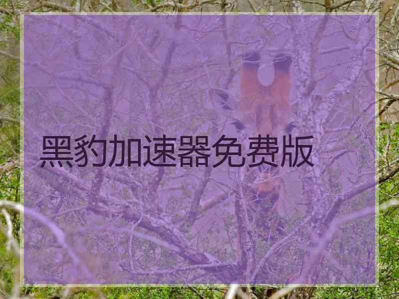 黑豹加速器免费版