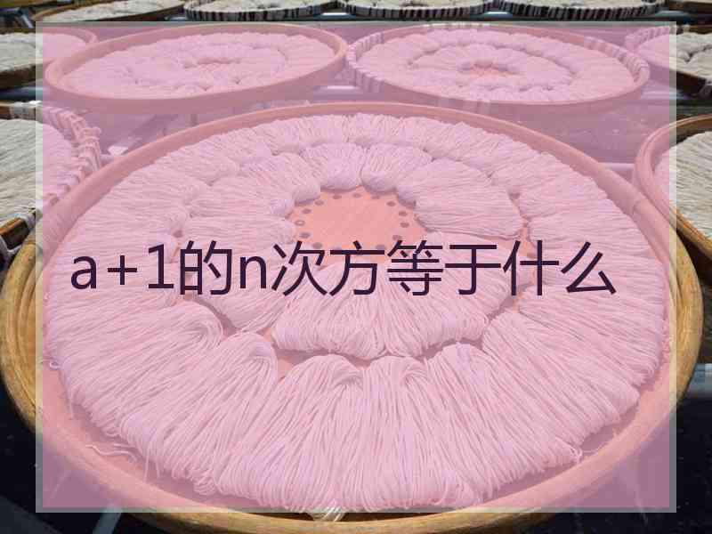 a+1的n次方等于什么