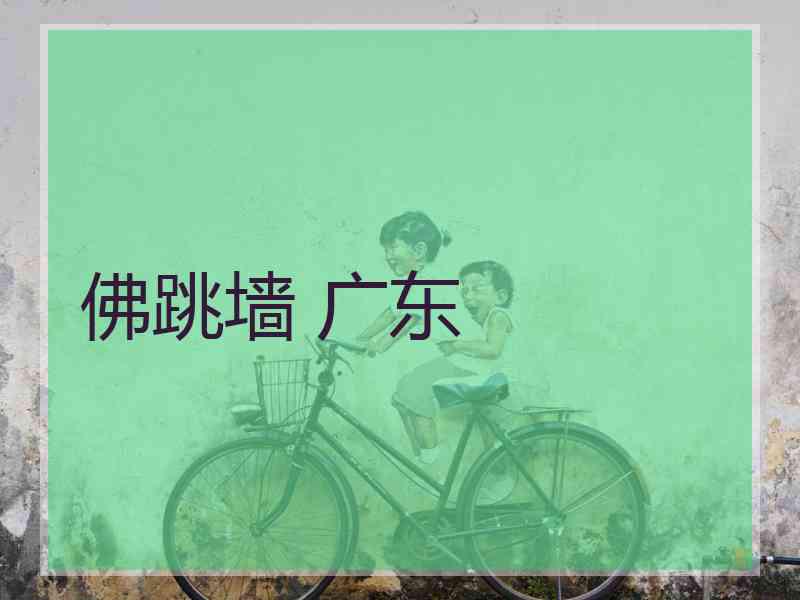 佛跳墙 广东