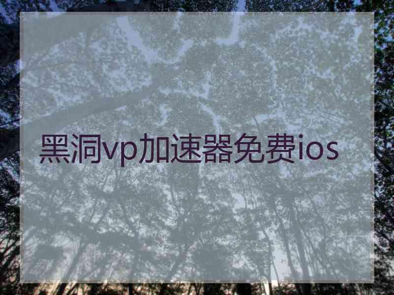 黑洞vp加速器免费ios