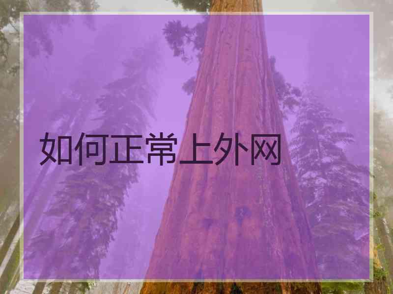 如何正常上外网