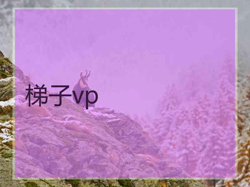梯子vp