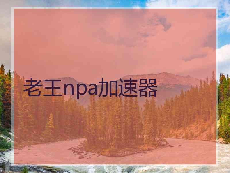 老王npa加速器