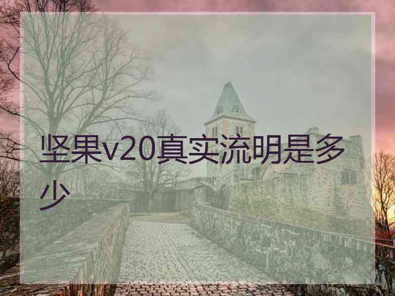 坚果v20真实流明是多少