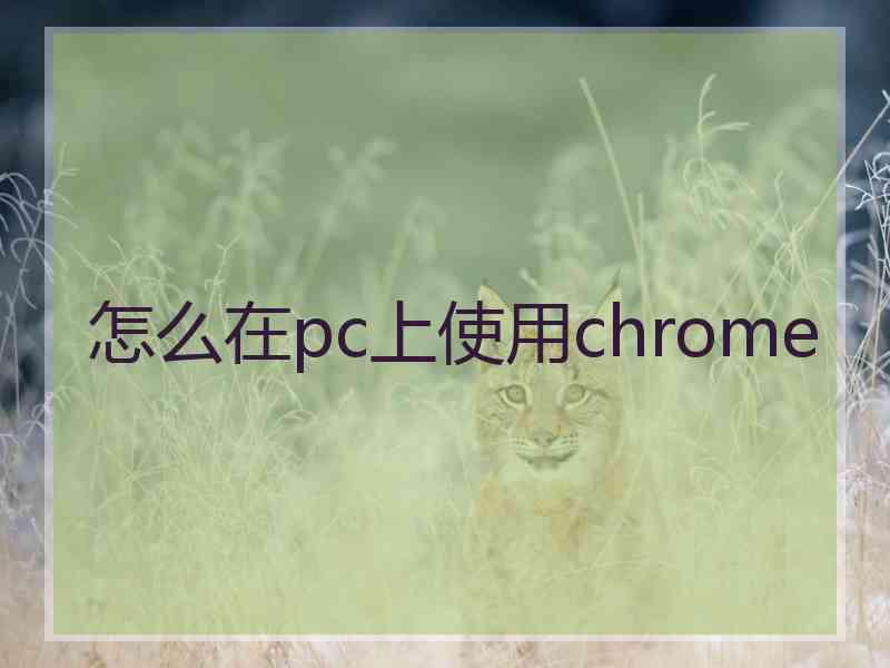 怎么在pc上使用chrome