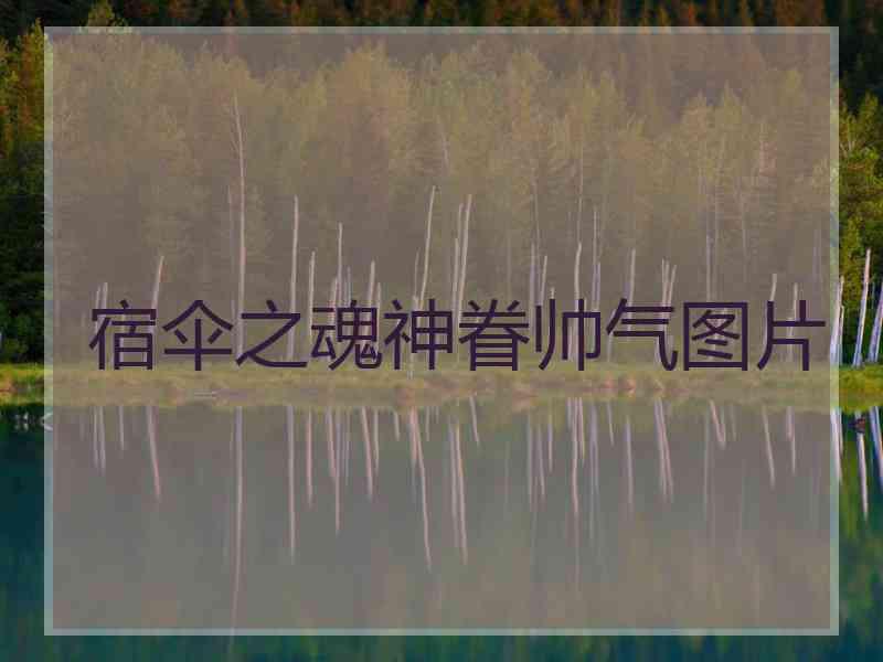 宿伞之魂神眷帅气图片