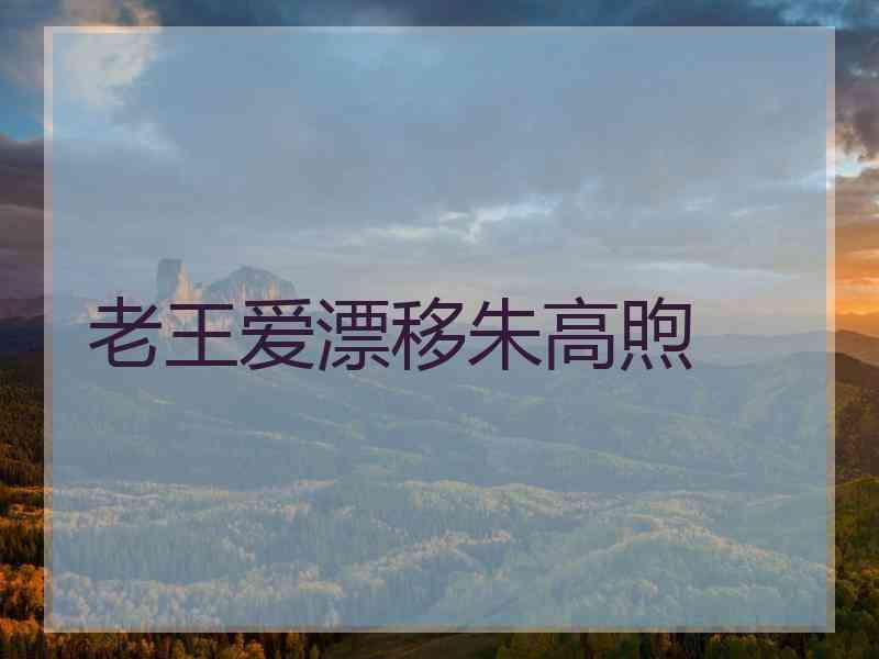 老王爱漂移朱高煦