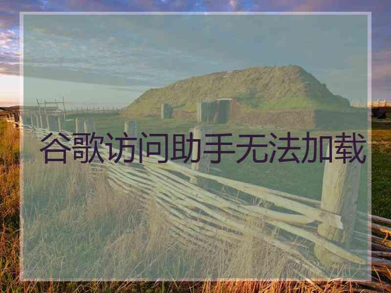 谷歌访问助手无法加载