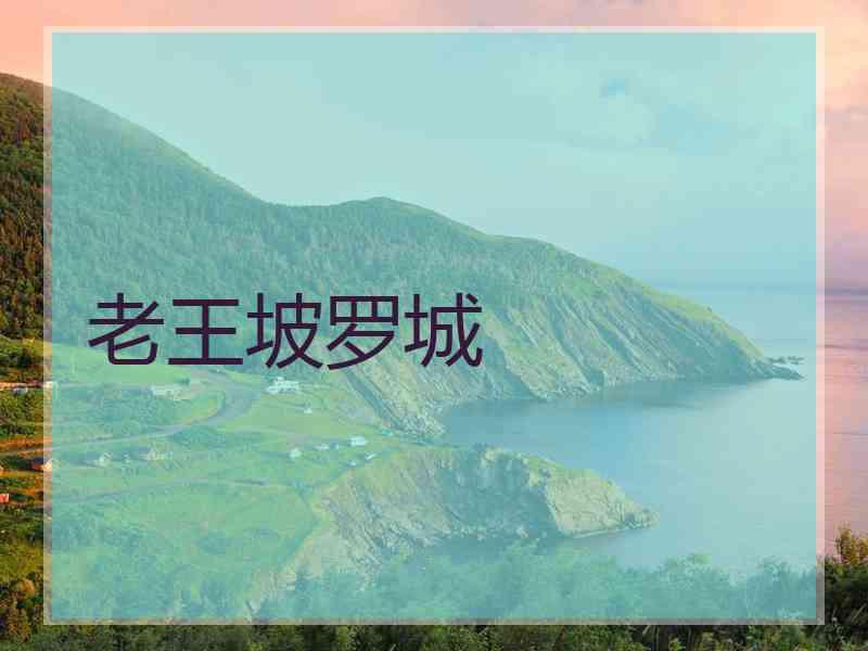 老王坡罗城