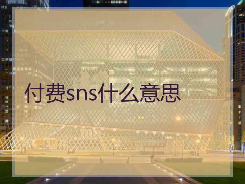 付费sns什么意思