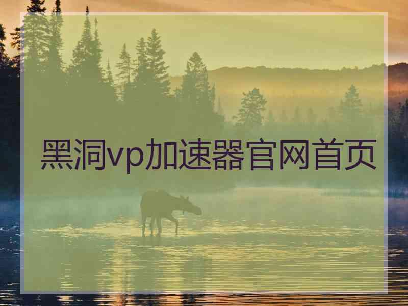 黑洞vp加速器官网首页