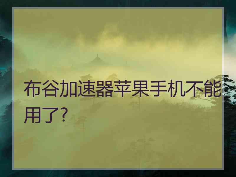 布谷加速器苹果手机不能用了?