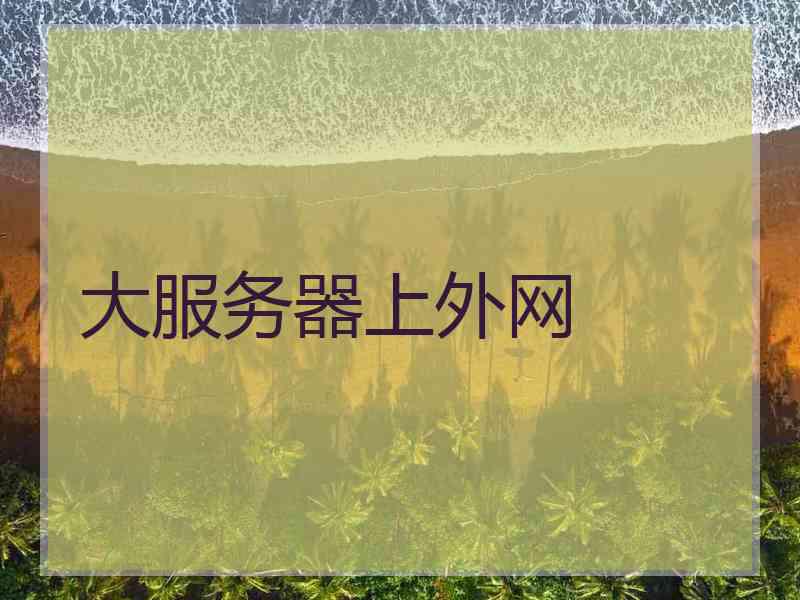 大服务器上外网