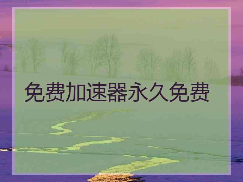 免费加速器永久免费