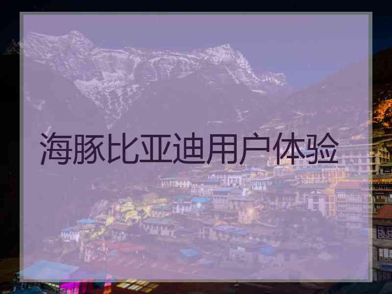 海豚比亚迪用户体验