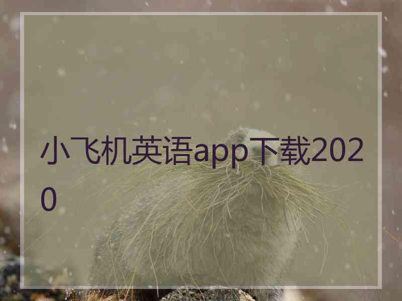 小飞机英语app下载2020