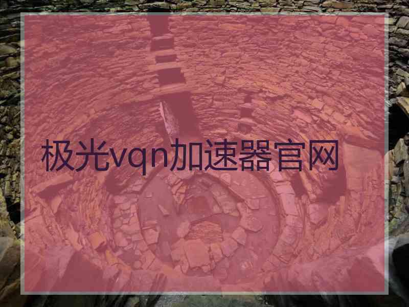 极光vqn加速器官网