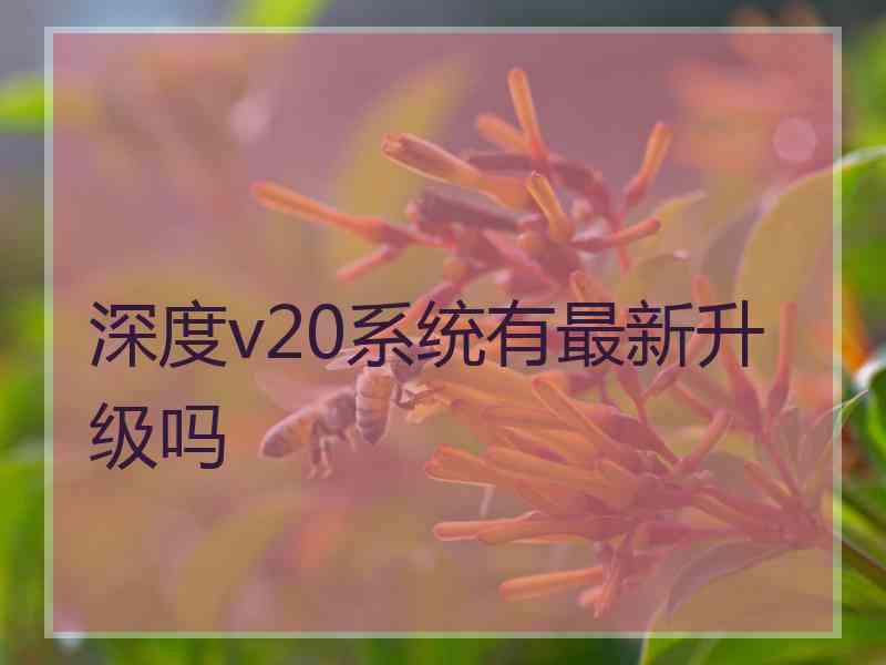 深度v20系统有最新升级吗