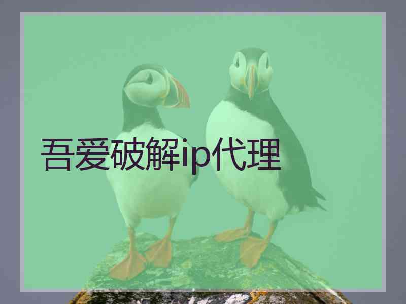 吾爱破解ip代理