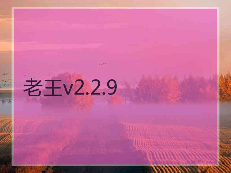 老王v2.2.9