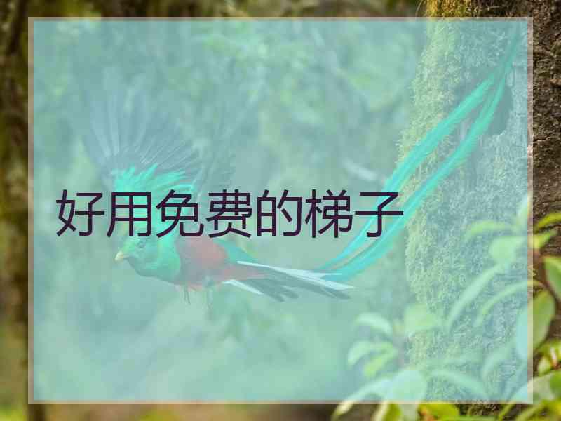 好用免费的梯子