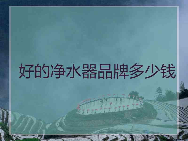 好的净水器品牌多少钱