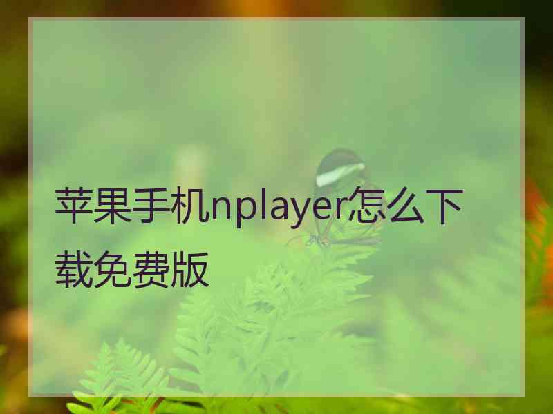 苹果手机nplayer怎么下载免费版