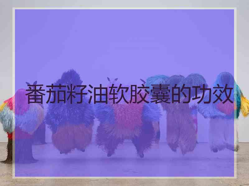 番茄籽油软胶囊的功效