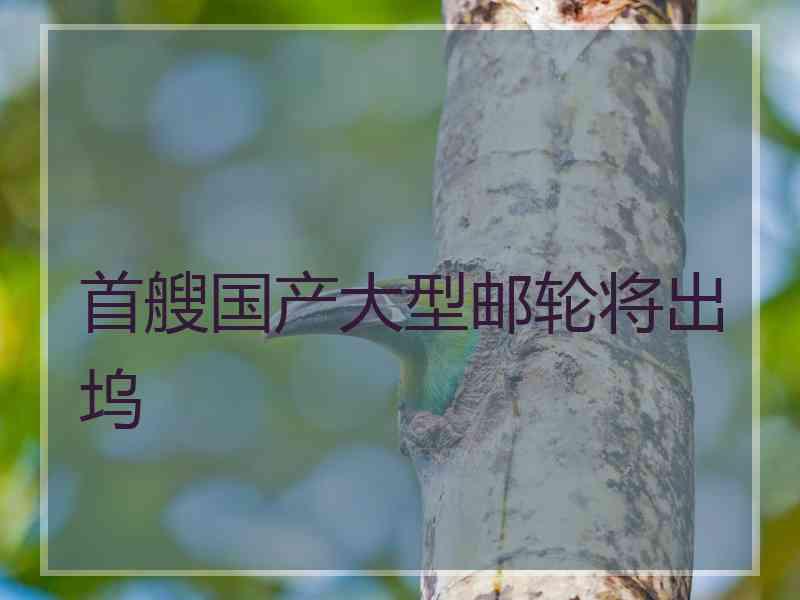 首艘国产大型邮轮将出坞
