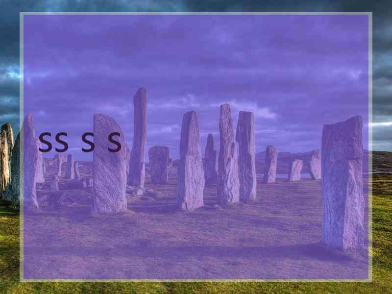 ss s s