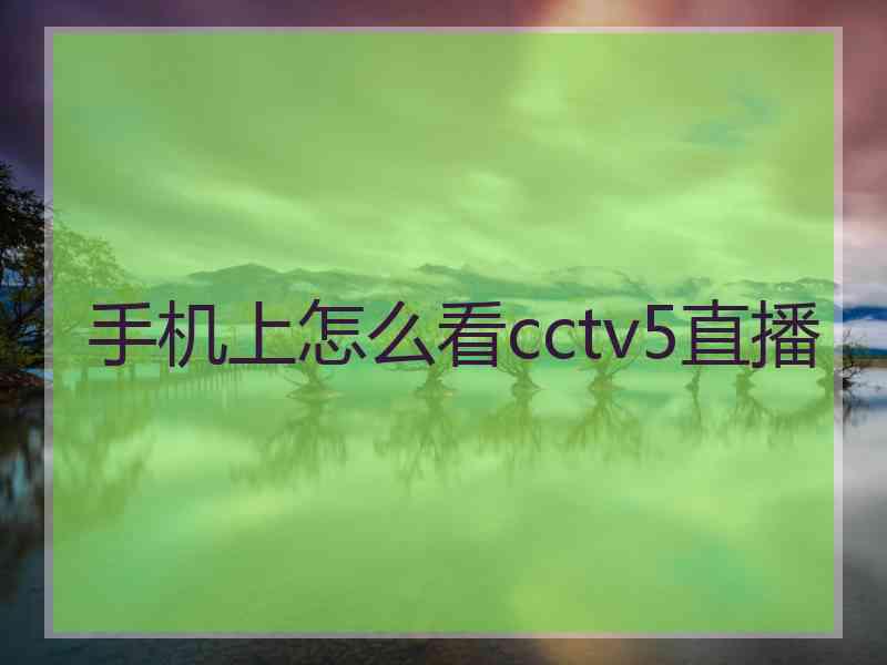 手机上怎么看cctv5直播