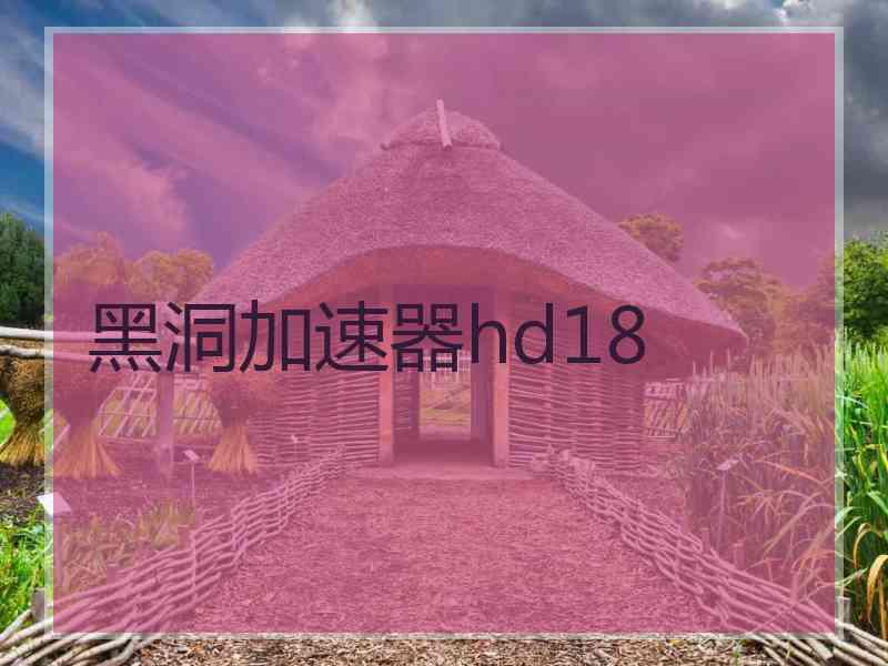 黑洞加速器hd18