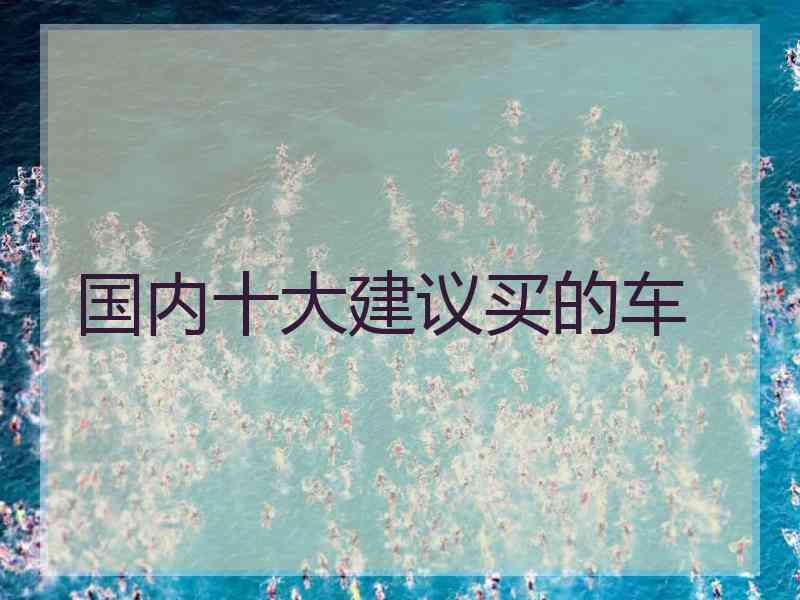 国内十大建议买的车