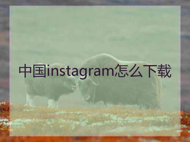 中国instagram怎么下载