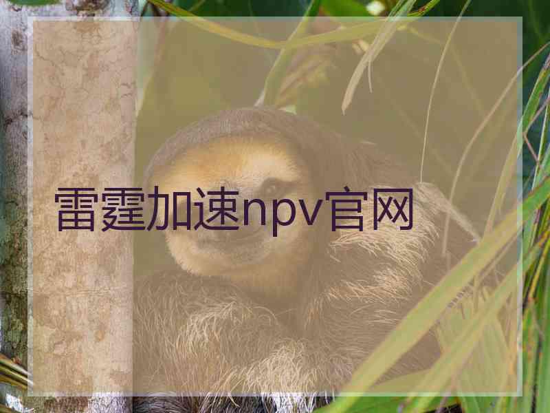 雷霆加速npv官网