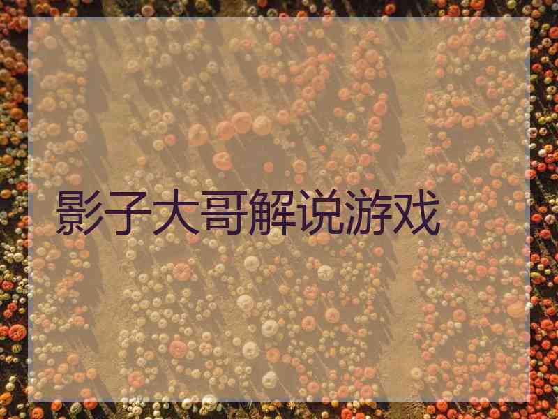 影子大哥解说游戏