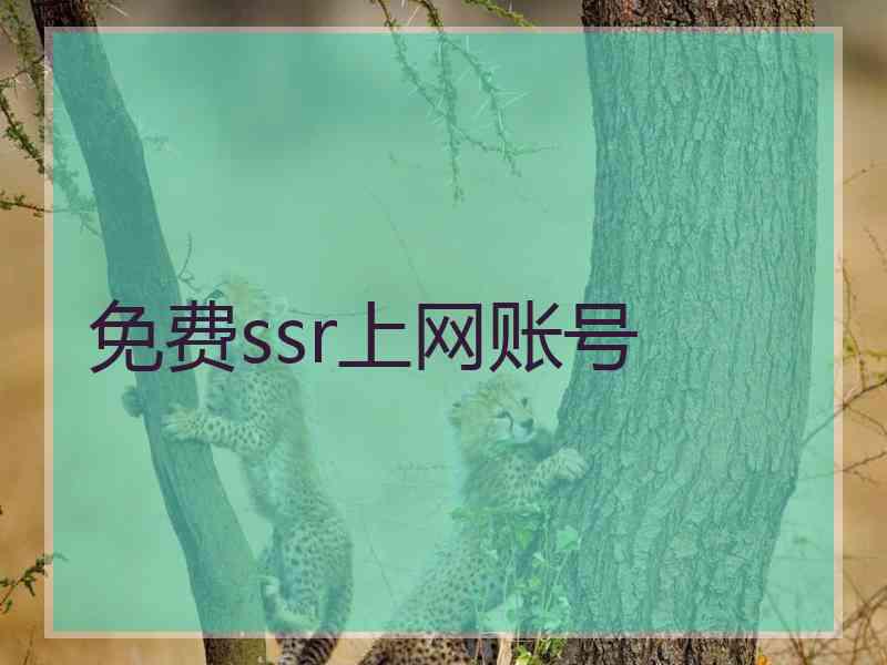 免费ssr上网账号