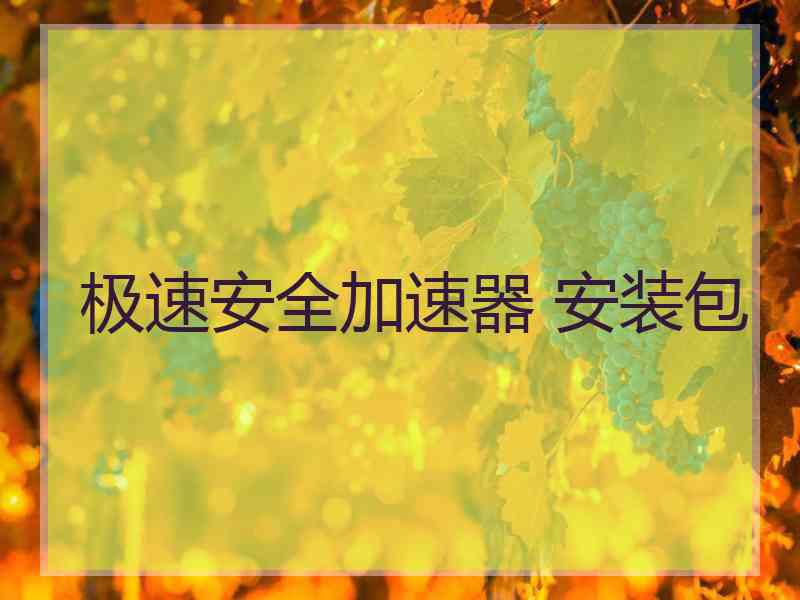 极速安全加速器 安装包