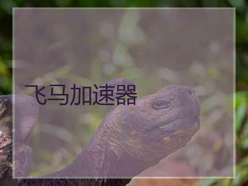 飞马加速器