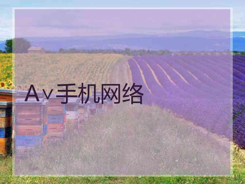 A∨手机网络