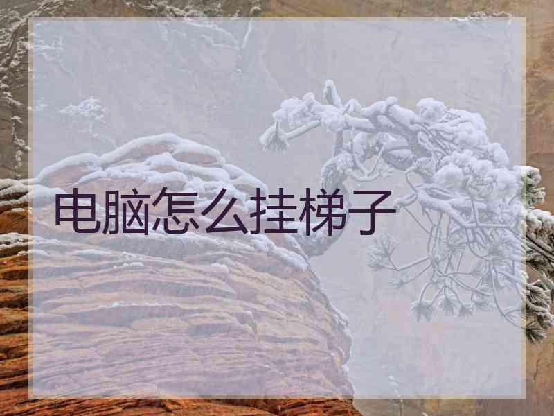 电脑怎么挂梯子