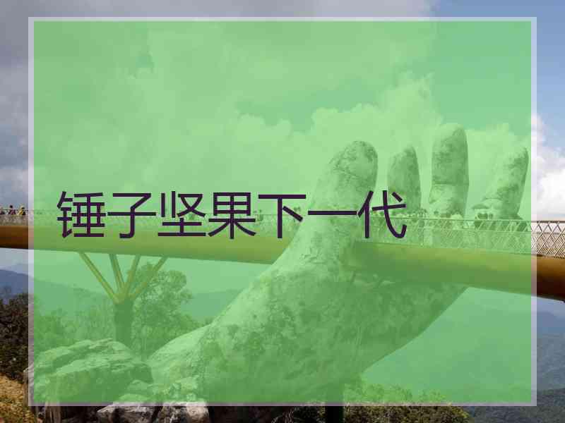锤子坚果下一代