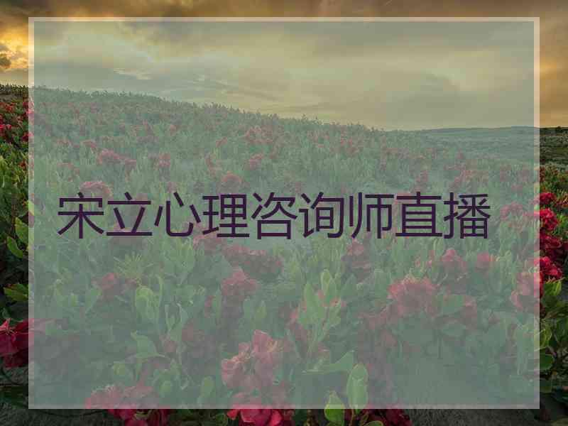宋立心理咨询师直播