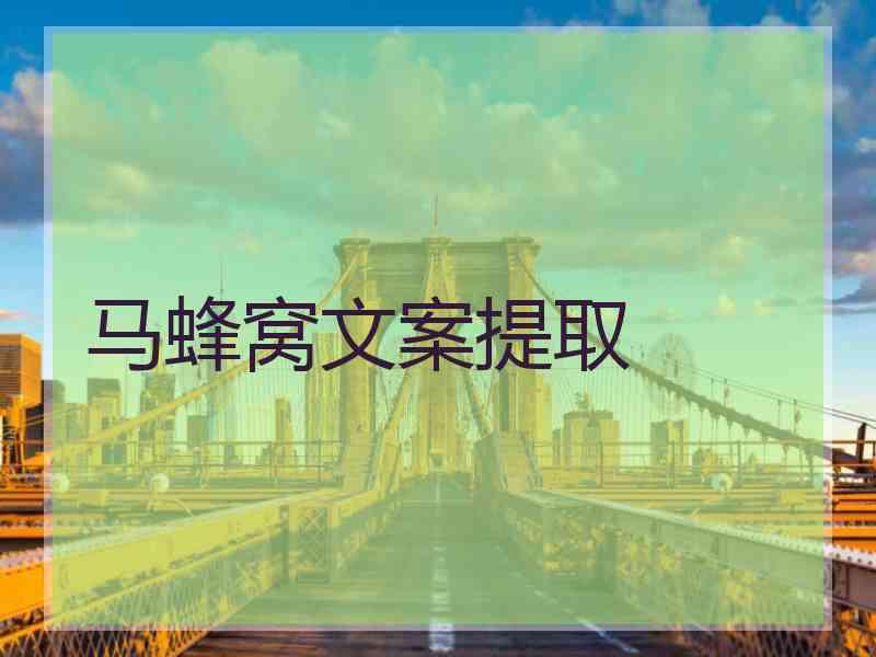 马蜂窝文案提取