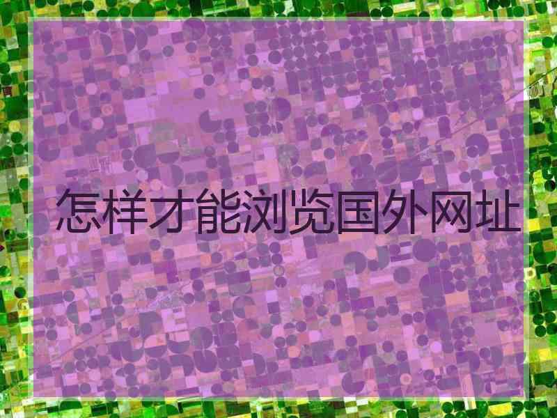 怎样才能浏览国外网址