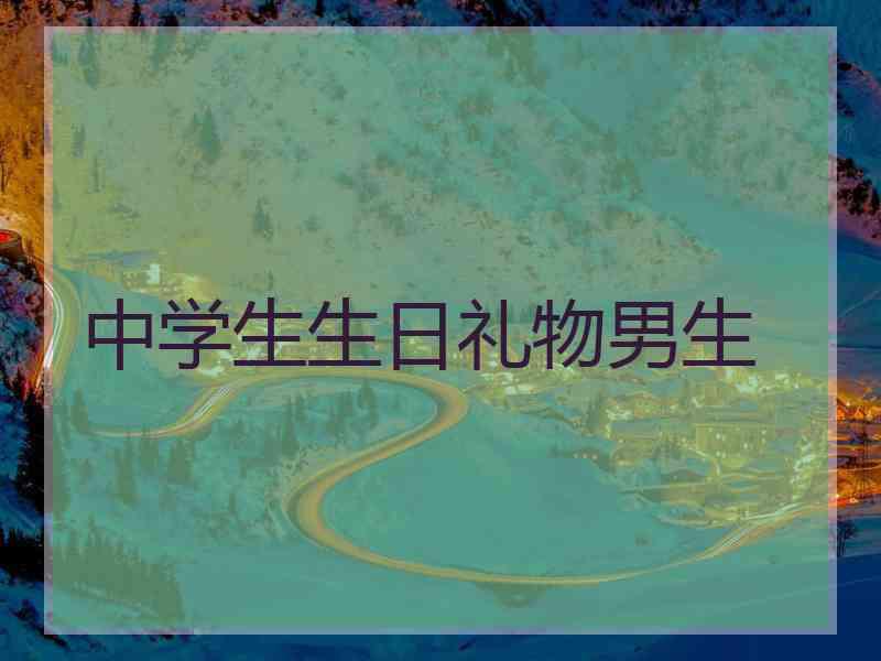 中学生生日礼物男生