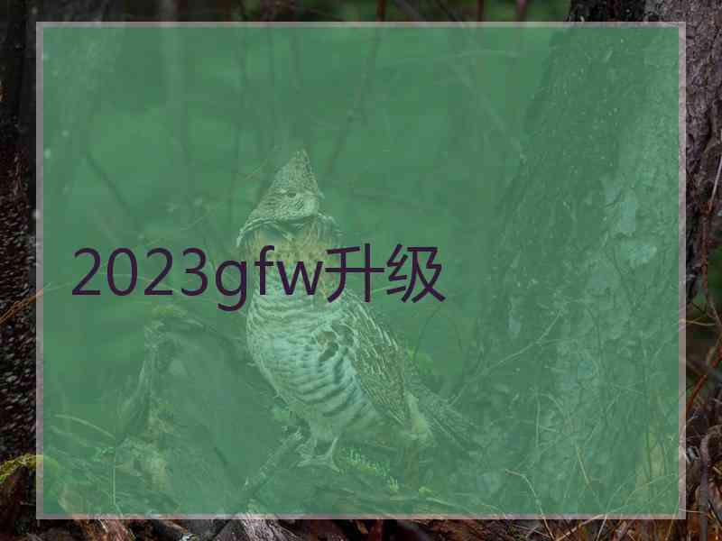 2023gfw升级